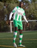 Verdiblanca-9