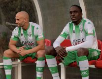 Verdiblanca-12